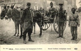 * T1/T2 1914 Petit Attelage De Campagne Indien / Small Indian Compaign Team - Non Classés