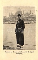 ** T2/T3 Aanzicht Op Donau En Parlement Te Boedapest / Dutch Globetrotter By The Parliament Of Budapest (non PC... - Sin Clasificación