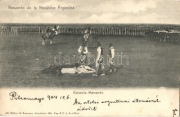 * T2/T3 Recuerdo De La República Argentina, Estancia-Marcando / Argentine Folklore, Cow Branding  (Rb) - Sin Clasificación