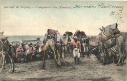 T2/T3 Izmir, Smyrna; Campement Des Chameaux / Camel Camps (EK) - Non Classés