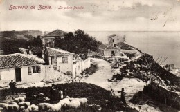 T2/T3 Zakynthos, Zante; La Coline Poholis (EK) - Non Classés