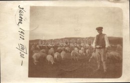 T2/T3 1912 Daróc, Sarisské Dravce; Juhnyáj. Szinyei Merse Zsigmondnak Címezve / Flock... - Non Classés