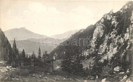 ** T2 Bucsecs-hegység, Butschetsch, Bucegi (Brassó Mellett); Malajester-szoros,... - Non Classés