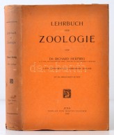 Richard Hertwig: Lehrbuch Der Zoologie. Mit 588 Abbildungen Im Texte. Elfte Auflage. Jena, 1916, Gustav Fischer.... - Sin Clasificación