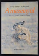 Kovács György, Heltay István: A Mezeinyúl. Ökölúgia,... - Zonder Classificatie