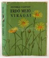 Jávorka Sándor, Csapody Vera: ErdÅ‘ MezÅ‘ Virágai. A Magyar Flóra Színes Kis... - Sin Clasificación