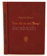Pfannl, Heinrich: Was Bist Du Mir, Berg? Schiften Und Reden. Bécs, 1929, Österreichischer Alpenklub.... - Non Classés