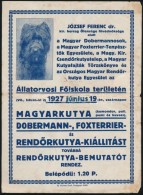 1927 Kutyakiállítás Hirdetmény, Nyomtatványként Postán... - Non Classés