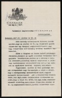 1917 Bp., Honvédelmi Miniszteri Körirata Valamennyi FÅ‘ispánnak A Gazdasági Munkák... - Andere & Zonder Classificatie