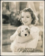 Janet Gaynor (1906-1984) Oscar Díjas Amerikai SzínésznÅ‘ Fotója A The Young In Heart C.... - Autres & Non Classés