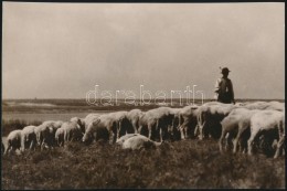 1928 Kerny István (1879-1963): Juhnyáj A Hortobágyon, Pecséttel Jelzett Vintage... - Autres & Non Classés