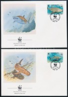 1991 WWF: Tengeri állatok Sor Mi 566-569 4 Db FDC-n - Otros & Sin Clasificación