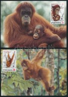 1989 WWF: Orangután Sor Mi 1291-1294 4 Db CM-en - Autres & Non Classés