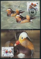 1987 WWF: Mandarinréce Sor Mi 2865-2868 4 Db CM-en - Otros & Sin Clasificación