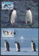 1992 WWF: Fókák és Pingvinek 4 érték Mi 193-196 4 Db CM-en - Autres & Non Classés