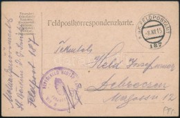 1915 Tábori Posta LevelezÅ‘lap 'M.KIR. NÉPFÖLKELÅ HADTÁP DANDÁR... - Autres & Non Classés