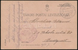 1916 Tábori Posta LevelezÅ‘lap / Field Postcard M. Kir. 1. NépfelkelÅ‘ Gyalog Ezred 1. Század... - Autres & Non Classés