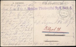 1916 Tábori Posta Képeslap / Field Postcard 'Mobiles Pferdespital Nr.6. Sect.6.' + 'EP 175' - Autres & Non Classés
