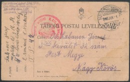 1916 Tábori Posta LevelezÅ‘lap 'M. Kir. Lovas  Lövészosztag Gazdasági Hivatala' +'TP 42' - Autres & Non Classés