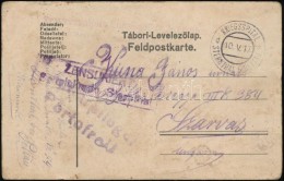 1917 Tábori Posta LevelezÅ‘lap / Field Postcard 'Reservespital Lukavae In Sternthal...' + 'KRIEGSPITAL D... - Autres & Non Classés