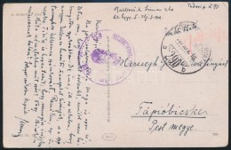 1917 Tábori Posta Képeslap 'TP 290 B' - Autres & Non Classés
