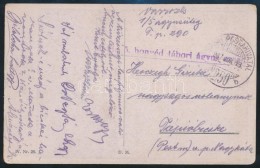 1917 Tábori Posta Képeslap ' M. Kir. 5. Honvéd Tábori ágyus Ezred' + 'TP 290 B' - Autres & Non Classés