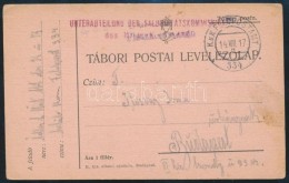 1917 Tábori Posta LevelezÅ‘lap 'UNTERABTEILUNG DER SALUBRITATSKOMISSION' + 'FP 334' - Autres & Non Classés