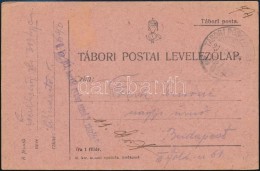 1917 Tábori Posta LevelezÅ‘lap / Field Postcard 'M. Kir. 313. Honvéd Gyalog Ezred 2.... - Autres & Non Classés