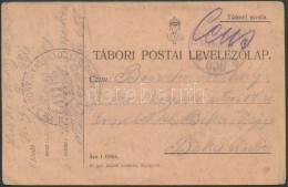 1917 Tábori Posta LevelezÅ‘lap 'M.KIR. 51 HONV. GYAL. HADOSZT. KIKÉPZÅ' + 'TP 650 B' - Autres & Non Classés