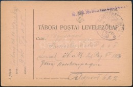 1918 Tábori Posta LevelezÅ‘lap / Field Postcard 'M. KIR.16. HONVÉD GYALOG' + 'TP 425' - Autres & Non Classés