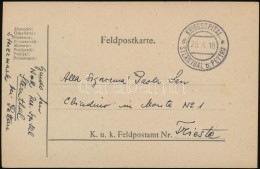 1918 Tábori Posta LevelezÅ‘lap / Field Postcard 'KRIEGSSPITAL STERNTHAL B.PETTAU' - Autres & Non Classés