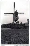 WAASMUNSTER (O.Vl.) - Molen/moulin - Mooie Prentkaart Van De Verdwenen Neermolen, Enkele Jaren Voor De Afbraak - Waasmunster