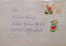 Germany Cover 2005 With WWF Panda Cachet Postmark - Lettres & Documents