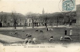 38 ROUSSILLON La Place, Animée ;moutons - Roussillon