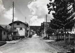 ARZIER → Dorfstrasse, Fotokarte Ca.1950 - Arzier-Le Muids