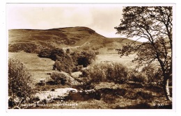 RB 1137 - Real Photo Postcard - Heugh O'Coull - Auchterarder Perthshire Scotland - Perthshire