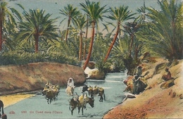 Postcard RA008700 - Algeria (Algérie / Algerien / Alzir) El Oued (Lwad) - El-Oued