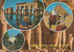 Postcard RA008703 - Egypt (Egipat / Agypten / Egitto / Misri) Giza & Asswan & Port Sand - Pyramids