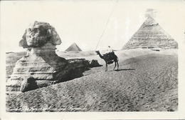 Postcard RA008705 - Egypt (Egipat / Agypten / Egitto / Misri) Giza (Gizah / Gizeh / Jizah) - Pyramids