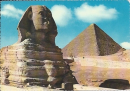 Postcard RA008706 - Egypt (Egipat / Agypten / Egitto / Misri) Giza (Gizah / Gizeh / Jizah) - Pyramids