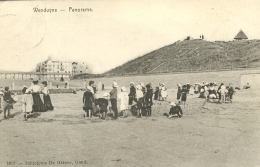 Delcampe - Wenduyne - Panorama / STAR 1517 Héliotypie De Graeve (1907) - Wenduine