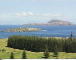 1 X Ile De Norfolk - Norfolk Island - Nepean & Phillip Islands - Norfolk Island