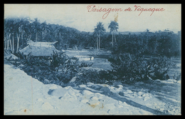 TIMOR - VIQUEQUE - Uma Paisagem De Viqueque. ( Ed. Da Missão)  Carte Postale - Timor Oriental