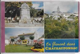 87.- En Flanant Dans  CHATEAUPONSAC - Chateauponsac
