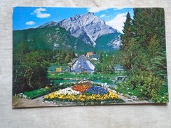 D145452  Canada Canadian Rockies Cascade Mountain BANFF  From Cascade Rock Gardens - Moderne Ansichtskarten