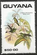 Guyana - MNH - Green-crowned Brilliant ( Heliodoxa Jaccula ) - Segler & Kolibris