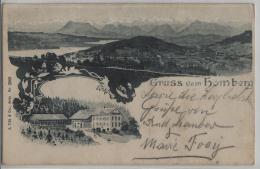 Gruss Vom Homberg - Litho A. Trüb No. 2069 - Stempel: Reinach AG - Reinach