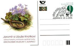 CZECH REPUBLIC 2005 WWF POSTCARD With LIZARD And SPECIAL CANCELLATION. - Brieven En Documenten