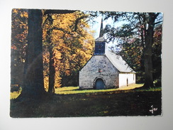 COTES D'ARMOR ENTRE GOUAREC ET MUR DE BRETAGNE LA CHAPELLE SAINT IGNACE DANS LES BOIS - Gouarec