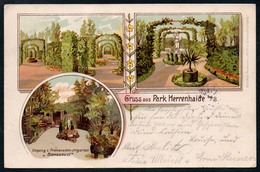 9184 - Alte Litho Ansichtskarte - Herrenhaide Bei Burgstädt - Gel 1904 - Mohr & Dutzauer - Burgstädt